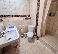Bathroom in a 2-room apartment with a toilet, shower, and sink.