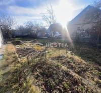 A garden with bare trees and fenced flower beds in Senica, illuminated by sunlight.