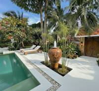 A view of a luxury villa in Pattaya with a pool and exotic garden.