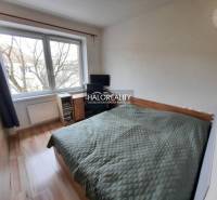 A bedroom in a three-room apartment with a wood-patterned floor and a large window.