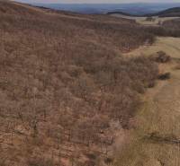 Forest lands around Príbelce with a dirt road and a deciduous forest on the slope.