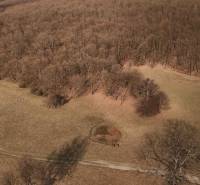 Fields and agricultural land in Príbelce include fields, forest, and roads.