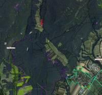 Aerial view of agricultural and forest lands in Príbelce, cadastral boundaries.