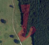 Orthophotomap of agricultural and forest land in the Príbelce area, with marked parcels.