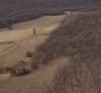 Autumn landscape of agricultural and forest land around Príbelce with road tracks.
