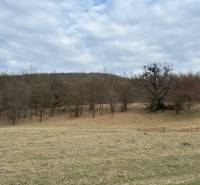 Agricultural and forest lands in Príbelce with deciduous trees and a cloudy sky.