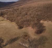 Agricultural and forest land in Príbelce with a road running along the forest growth.