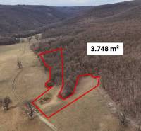 Agricultural and forest land around Príbelce with a marked area of 3,748 m².