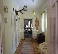 A hallway in a family house with hunting trophies and traditional decorations.