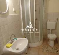 A bathroom in a family house with a sink, shower, and toilet.