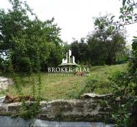 A garden by a family house in Goncruszka with old trees and a stone wall.