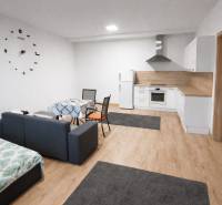 Living room in a two-room apartment with a kitchenette and a floor with a wooden decor.