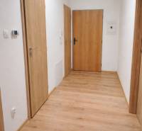 A hallway with a wooden decor floor and wooden doors in a 2-room apartment.