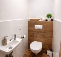 A bathroom in a 2-room apartment with a wooden decor floor and a simple sink.