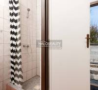 A bathroom with a shower and a patterned curtain in hotels and guesthouses.