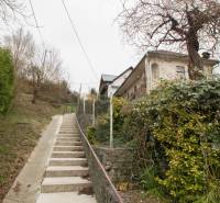 A family house in Kostoľany nad Hornádom with a path, covered with ivy and a retaining wall.
