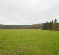 Greenery and forest background in Kostoľany nad Hornádom, an ideal plot for a family house.
