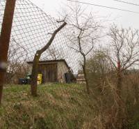 Plots, trees, and shelter in Kostoľany nad Hornádom, surroundings of a family house.