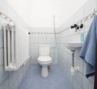 A bathroom with blue tiles, a toilet, and a sink in a family house.