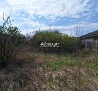Plots - housing in Dvorníky with shrubs and grassy area, ideal for construction.