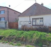A house on a residential plot in the village of Dvorníky with a grassy garden and a fence.