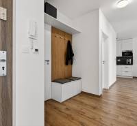 Entrance hallway in a 2-room apartment with wood-patterned flooring and built-in storage space.