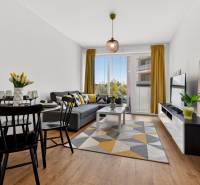 Living room in a two-room apartment with a wooden decor floor, a sofa, and a dining table.