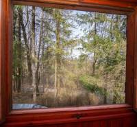 View from the window of the forests on recreational plots in Holčíkovce.