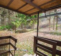 View from the terrace at the Recreational Grounds in Holčíkovce with autumn leaves and trees.