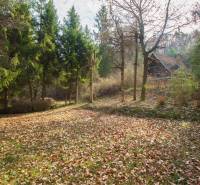 Autumn landscape of Recreational Grounds in Holčíkovce full of colorful leaves and trees.