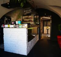 Interior of a gastro space with a white bar, plants, and comfortable seating.