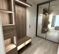 Entrance hallway in a 2-room apartment with a wooden decor floor and a built-in wardrobe.