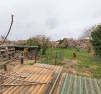 A garden with a shed and trees behind a family house on Zelenečská Street in Trnava.