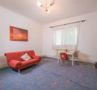 Living room in a family house with a red sofa and a table with a chair.