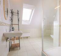 Bathroom with a shower and a skylight in a 2-room apartment.