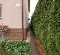 Near Osloboditeľov Street in Trenčín, there is a sidewalk next to a well-maintained hedge.