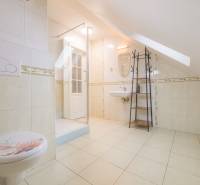 Bathroom with toilet, shower, and sink in a 2-room apartment with an attic.