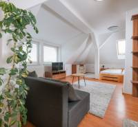 Attic 2-room apartment with a sofa, bed, and wooden decor flooring.