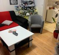 Living room with a Christmas tree, sofa, coffee table, and wood-patterned flooring in a two-room apartment.