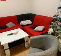 Living room in a two-room apartment with upholstered furniture and Christmas decorations.