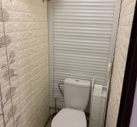 A toilet with sliding doors and a decorative wall in a 2-room apartment.