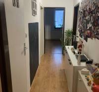 A hallway with a wooden decor floor, a chest of drawers, and decorations, a 2-room apartment.
