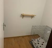 A small room with a wall shelf, a floor with a wooden decor, and a cage for an animal.