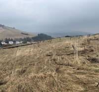 Plots - housing in Stará Ľubovňa on gently sloping terrain.