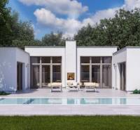 A family house in Dolná Seč with a garden pool and a terrace surrounded by greenery.
