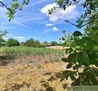 Nature in the Gardens of the Stone Bridge with a field under the blue sky and white clouds.