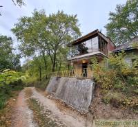 A cottage in Kamenín with a glass floor, surrounded by trees and a forest path.