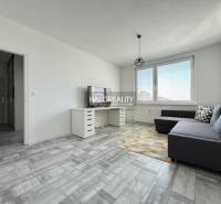 Living room in a two-room apartment with a wooden decor floor and a gray sofa.