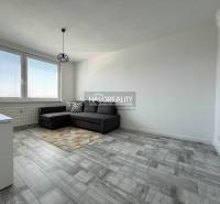 Living room in a two-room apartment with a wooden decor floor and a gray sofa.