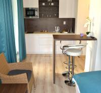 Studio apartment with wood-patterned flooring, a kitchenette, and a bar counter.